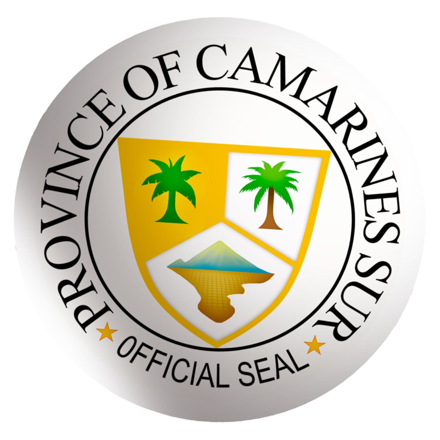CamSur Logo
