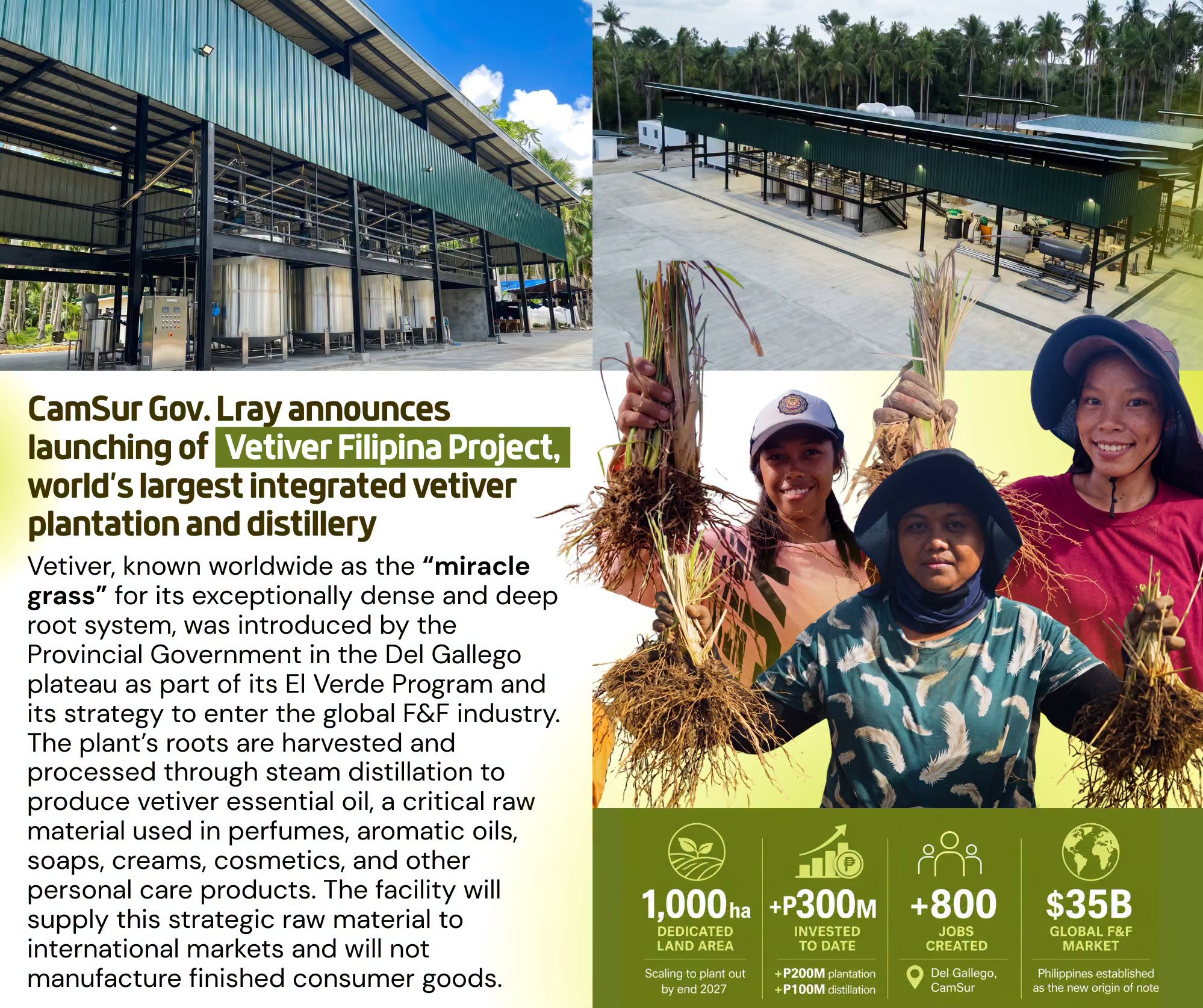 CamSur Gov. Lray announces launching of Vetiver Filipina Project, world&rsquo;s largest integrated vetiver plantation and distillery
